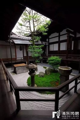 室内天井景观 360图片