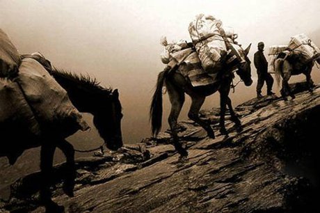 茶马古道_360图片