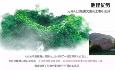 火山灰土 360图片