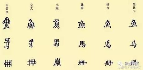 鱼的汉字演变过程图 360图片