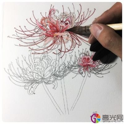 彼岸花海的画法 360图片