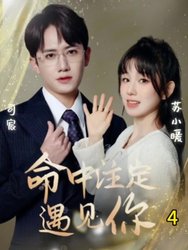 命中注定遇见你(短剧版)