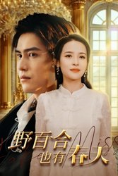 野百合也有春天(短剧版)