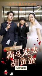 霸总宠妻甜蜜蜜