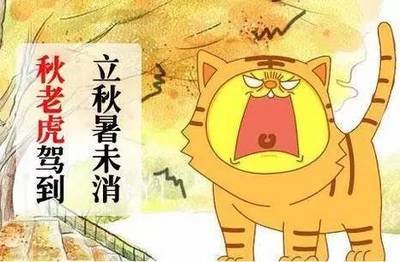 警惕“秋老虎”和换季健康谣言 警惕“秋老虎”和换季健康谣言