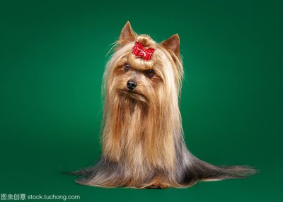 图片[2]-热点讨论“微信小程序微乐麻将有挂吗怎么开挂”（真的有挂）-首码网-网上创业赚钱首码项目发布推广平台