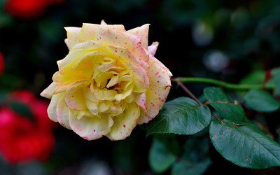 生活中处处都体现着佛法