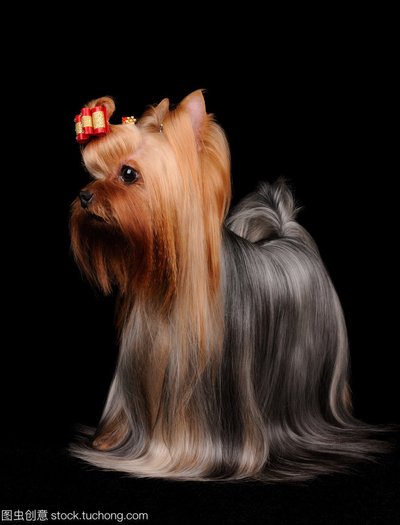 图片[2]-热点讨论“63棋牌游戏中心有挂吗怎么开挂”（其实确实有挂）-首码网-网上创业赚钱首码项目发布推广平台