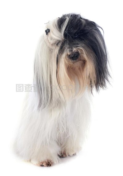 图片[2]-百科大全“福气推筒子有挂吗怎么开挂”（附开挂脚本详细步骤）-首码网-网上创业赚钱首码项目发布推广平台