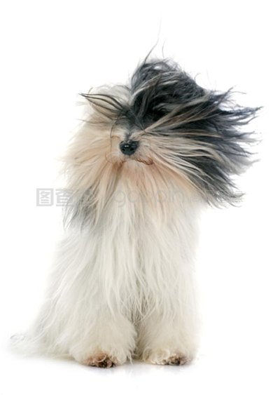 图片[2]-热点讨论“欢乐汇有挂吗怎么开挂”（其实有挂）-首码网-网上创业赚钱首码项目发布推广平台