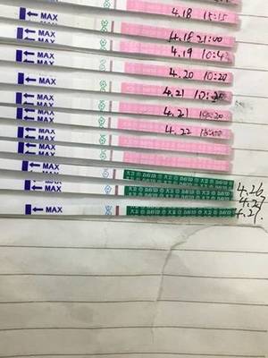 排卵期有多久