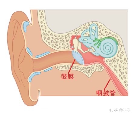 耳朵不通气是怎么回事