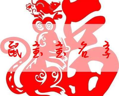鼠 起名
