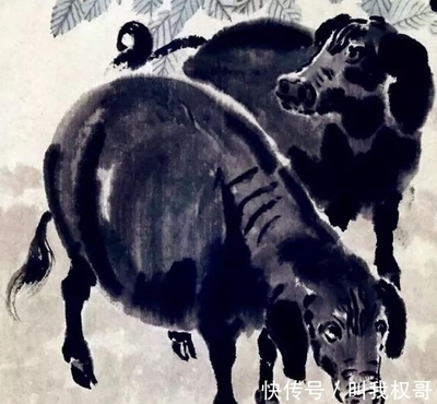 瞻前顾后的生肖