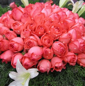 鲜花送给最可爱的人图片
