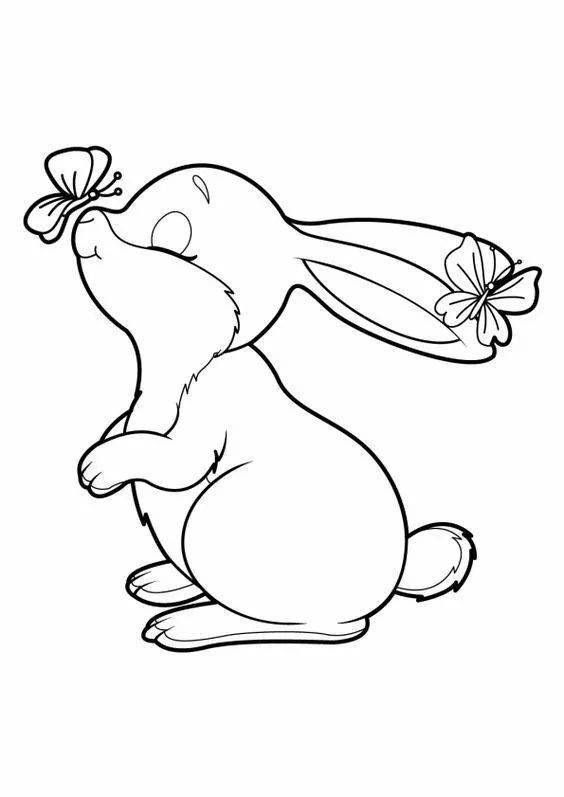 兔子怎么画简笔画画法图片