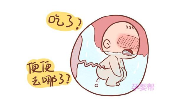胎儿会拉屎吗