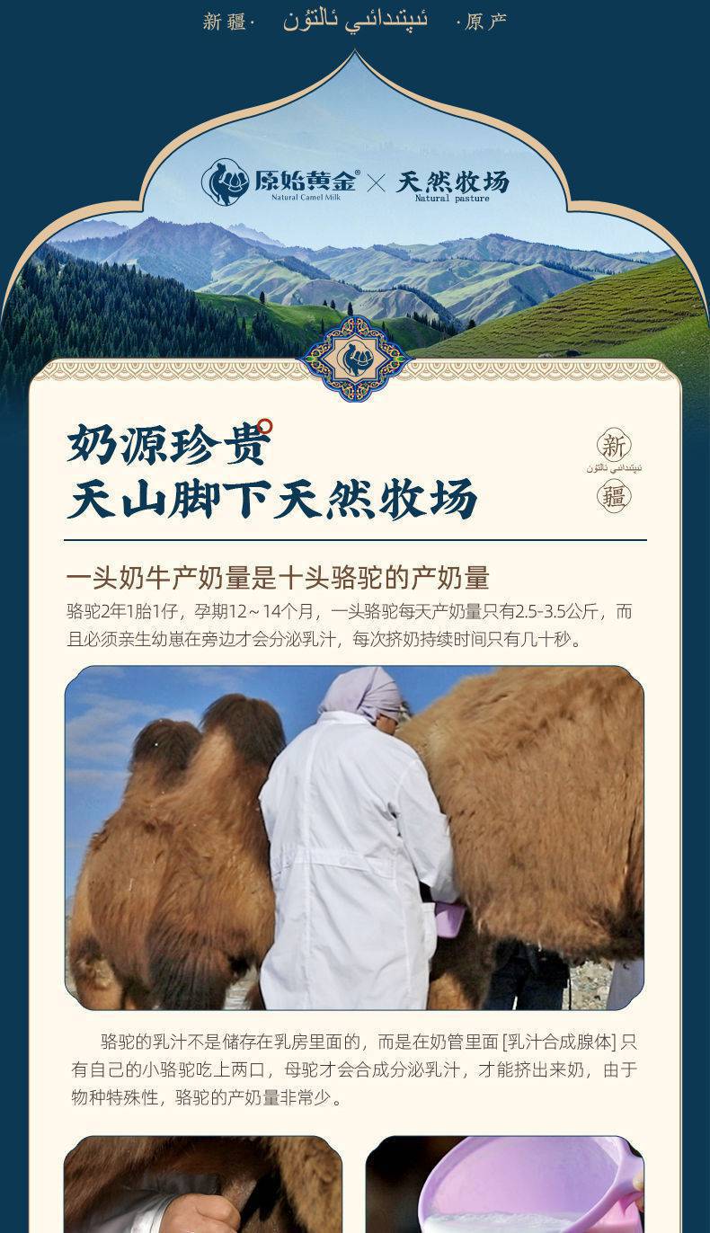 怀孕能喝骆驼奶粉吗