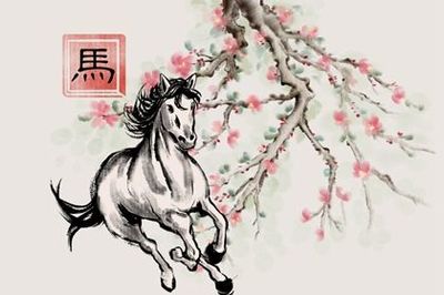 属马跟属龙