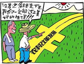 可以依照法律规定对土地实行