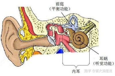 前庭功能眩晕怎么治疗