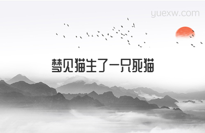 做梦梦到死猫