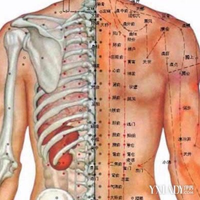 后背胀是怎么回事