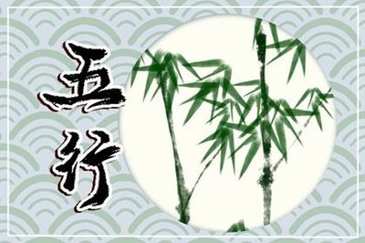 2004年属什么生肖五行