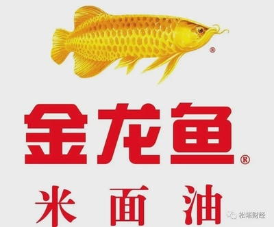 哈爾濱哪里批發(fā)魚缸便宜好用又實(shí)惠（哈爾濱哪里批發(fā)魚缸便宜好用又實(shí)惠的） 觀賞魚市場（混養(yǎng)魚）