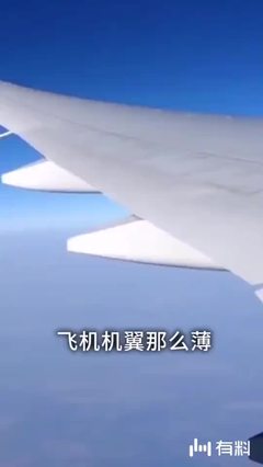 纸折纸飞机迅雷下载