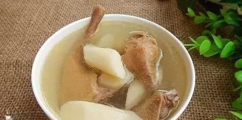 鸽子汤的正确炖法,鸽子化痰还是化痰?