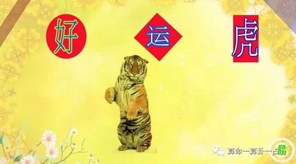 属虎床头朝哪个方向好
