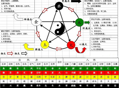 美属于五行属什么