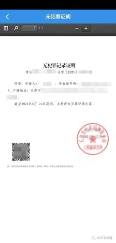 无犯罪记录怎么开