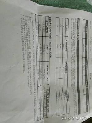 怀孕13周还用吃叶酸吗