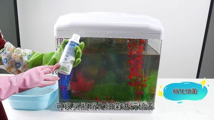 1米魚缸用多大的水泵合適呢視頻（1米魚缸用多大的水泵合適呢視頻講解）