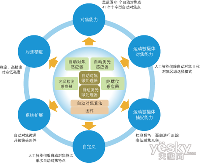 什么是十字型对焦点