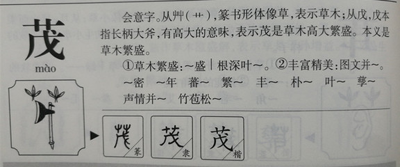 容的五行