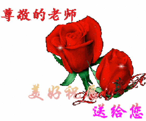 比鲜花表情包图片好看的是什么