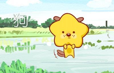 木和土是什么生肖