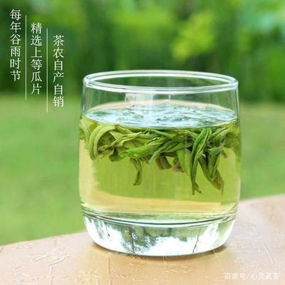 精选名茶是什么茶