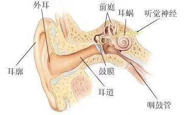 喉咙响是怎么回事