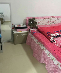 女生租单身公寓安全吗