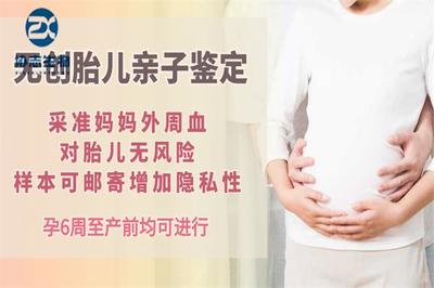 产前dna亲子鉴定