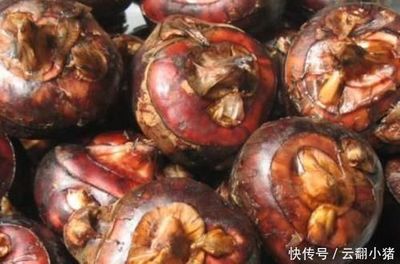怀孕可以吃生马蹄吗