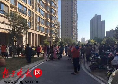 宝应碧桂园房价