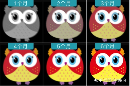 五个月宝宝视力