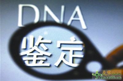 亲子鉴定需要什么东西