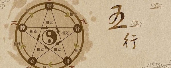 圣字五行