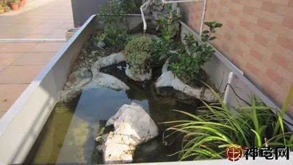 庭院乌龟池设计图